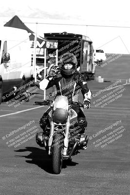 media/Mar-13-2022-SoCal Trackdays (Sun) [[112cf61d7e]]/Around the Pits/